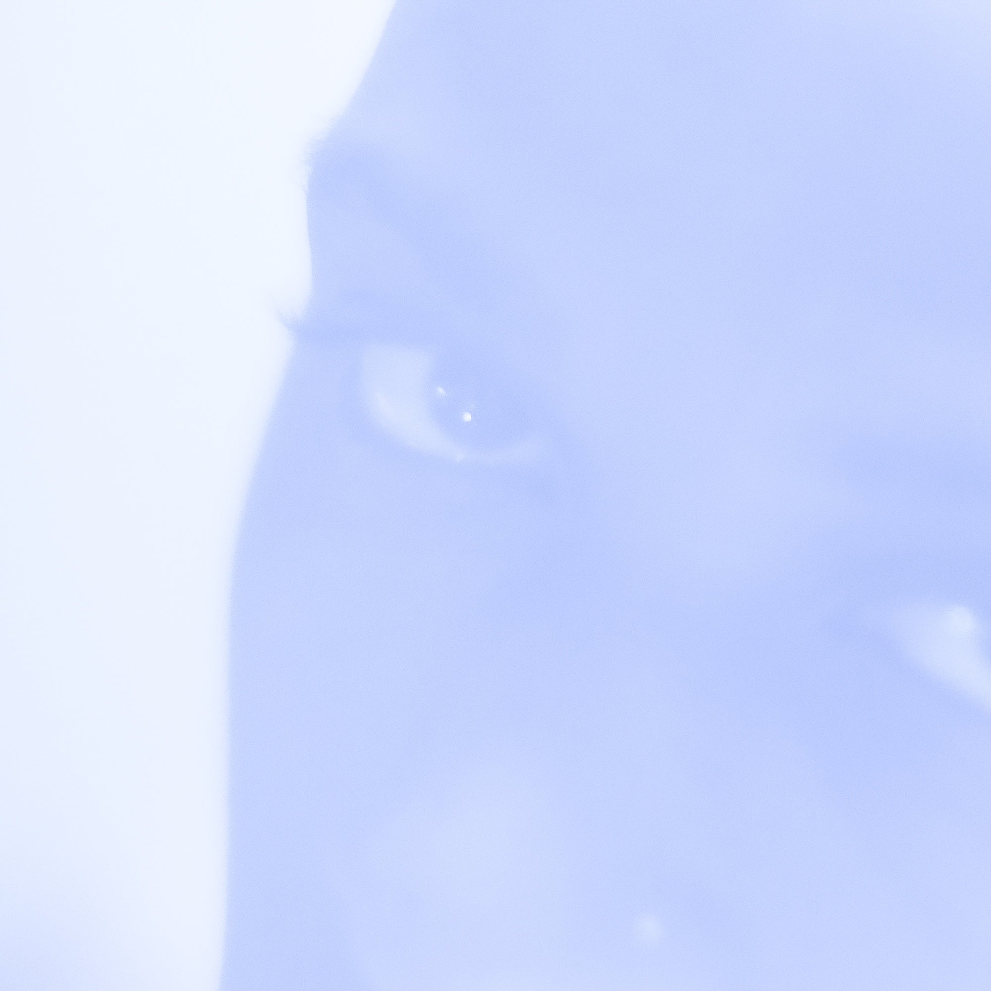 moment I felt BLUE - Complete Double Album (Digital Download)